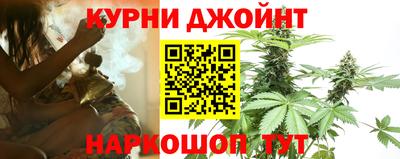 Альфа ПВП Можга
