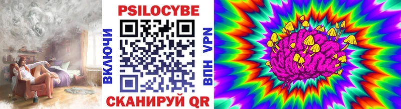 Галлюциногенные грибы Psilocybine cubensis  где купить   Дзержинск 