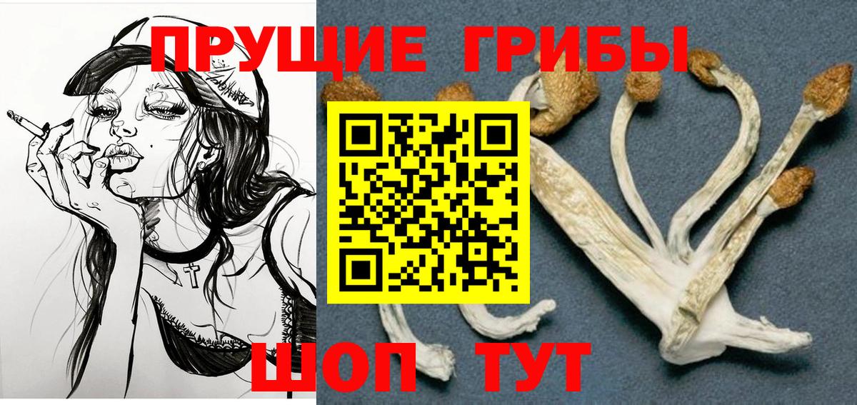 Галлюциногенные грибы мухоморы  Вход с VPN  Дзержинск 